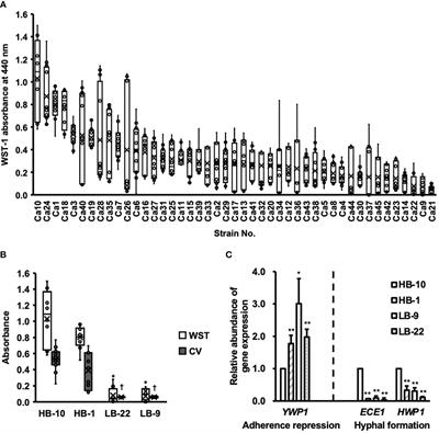 Inhibitory effects of vaginal Lactobacilli on Candida albicans growth, hyphal formation, biofilm development, and epithelial cell adhesion